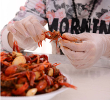 Food gloves and FDA vinyl gloves