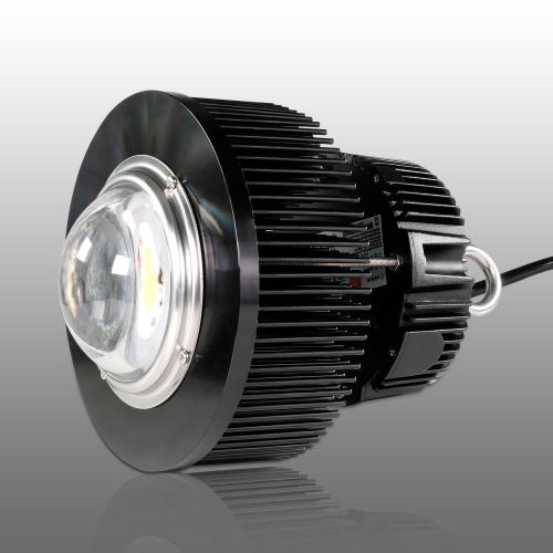 Phlizon 100W COB LED wachsen Licht