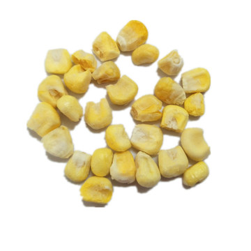 Wholesale Fd Sweet Corn for Cooking
