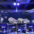 كورال الشعاب المرجانية شروق الشمس غروب الشمس المائي LED LED Aquarium Light