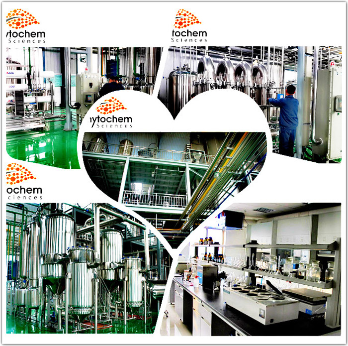 80% ginsenosides panax ginseng extract powder