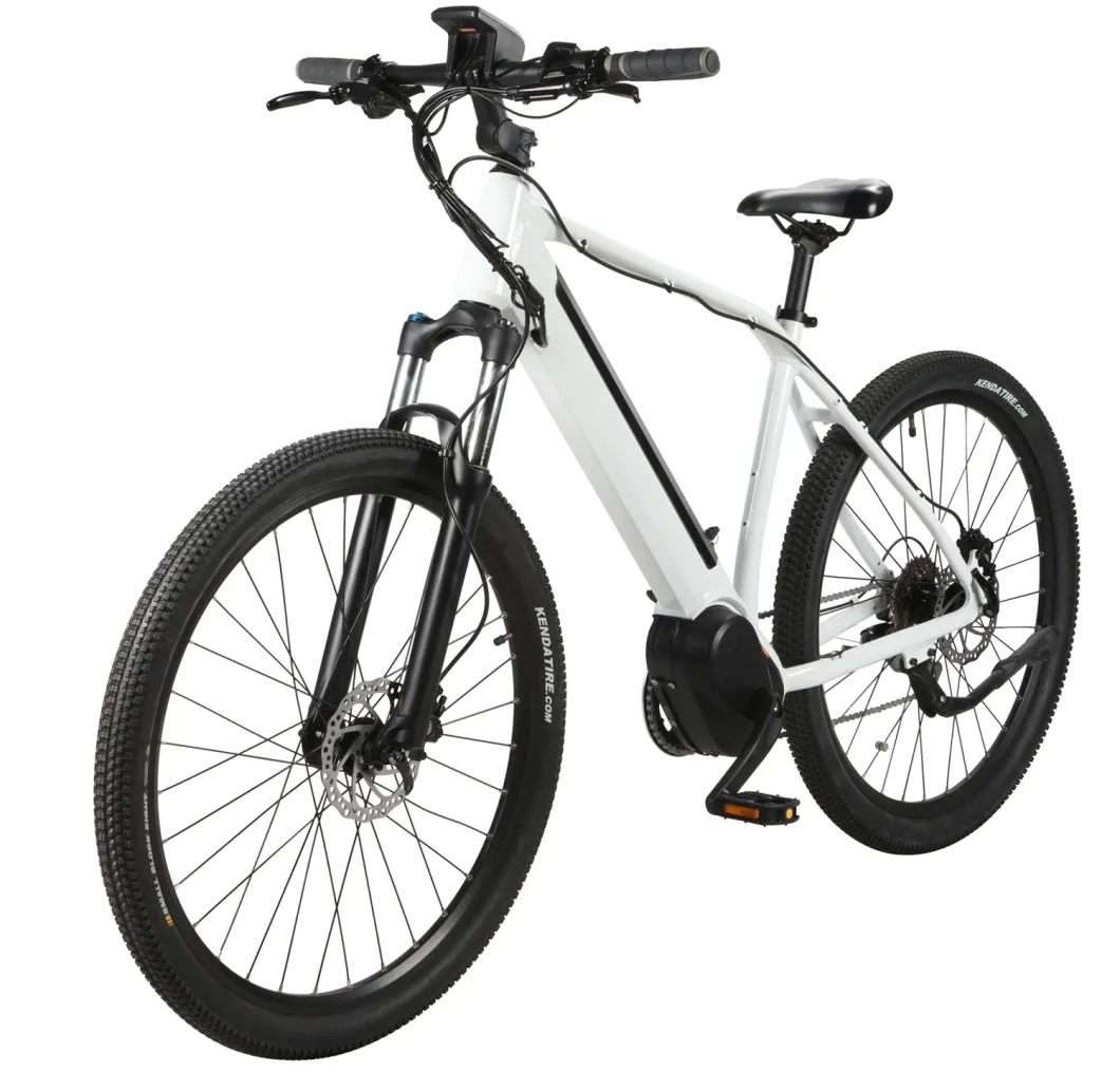 26inch E City Bike 36V/48V Electric Bicycles 1 Piece Sales