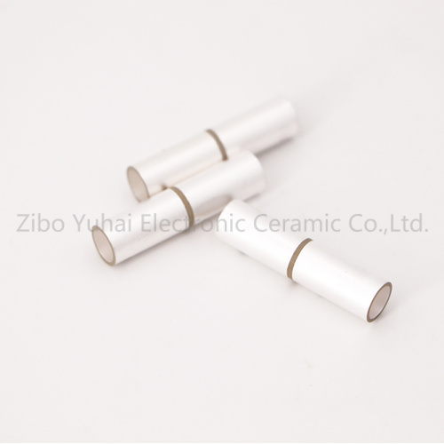 Custom Electrode Piezo Tube