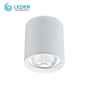 LEDER Hanging Dimmable 20W LED Downlight