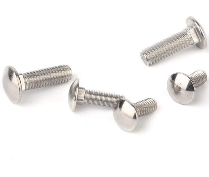 304 DIN603 Carriage Bolt Stainless Steel