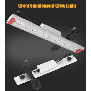 Supplément Aglex Grow Light 395nm UVA Bar