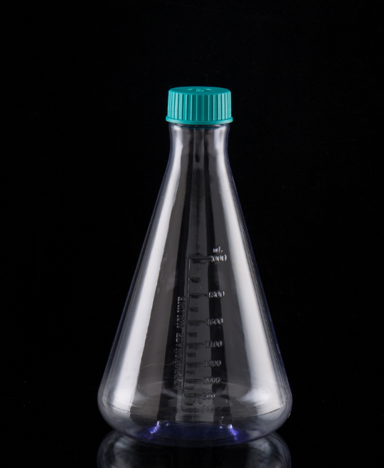 Erlenmeyer Flasks