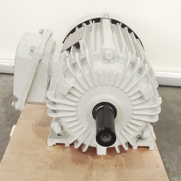 NEMA Premium Efficiency 3HP 182T Frame AC Motor