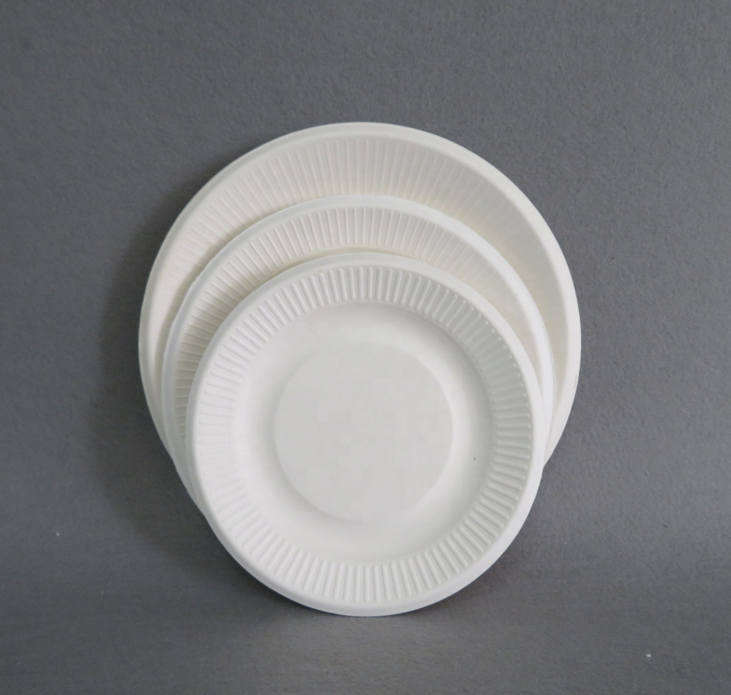 Disposable Biodegradable Sugarcane Square Dinner Paper Plate square