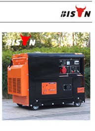 BISON China Zhejiang 12KVA 12V DC Diesel Generator Battery Charger with Cheap Price