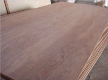 Keruing/Gurjan Plywood for India