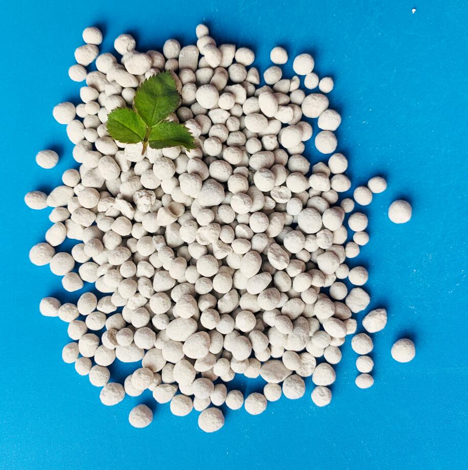 Dicalcium phosphate squeezed chips granular fertilizer