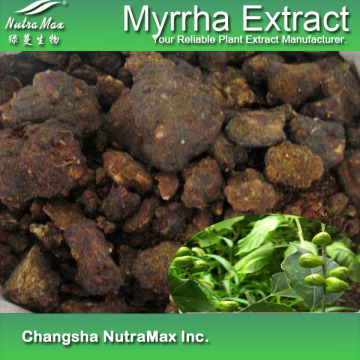100% Natural Myrrha Extract (4: 1)