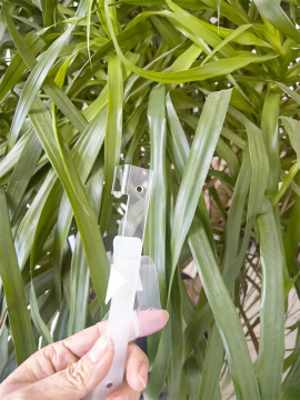 Injection Molding PC Transparent Plastic Parts