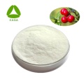 Pure Natural Hautaufhellung Arbutin Powder 497-76-7
