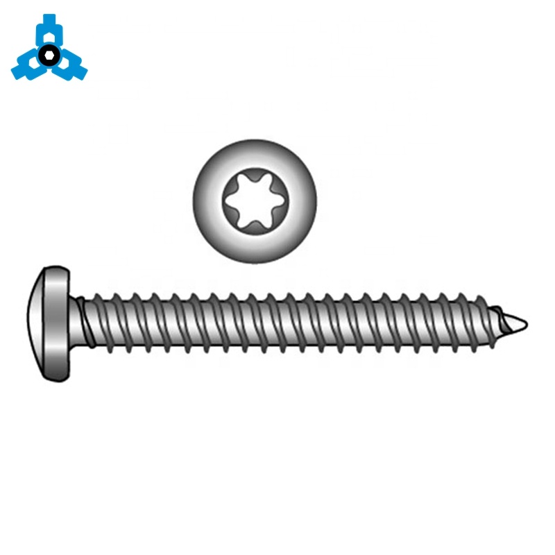 Rust Proof Stainless Steel Screws Thread Forming Self Tapping Torx Screw