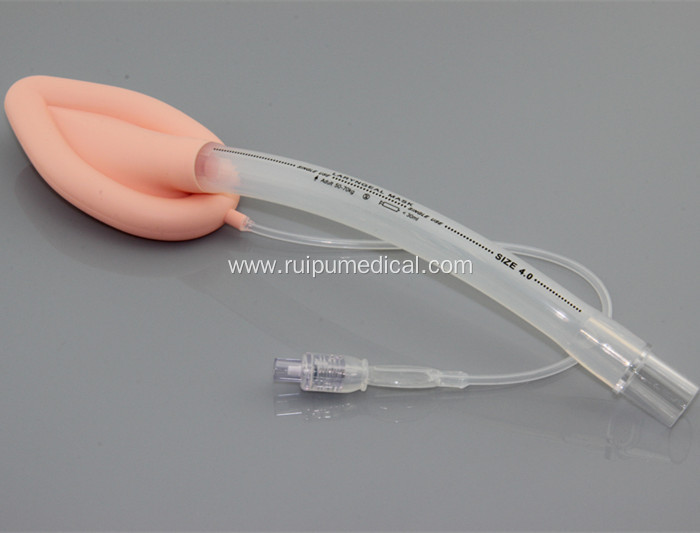 Laryngeal Mask Airway