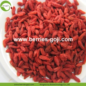 Forza sessuale Nutrizione Frutta Healthy Goji bacche comuni