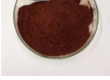 Natural EU Organic Wellgreen Pine Bark Extract OPC