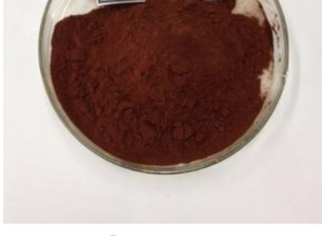 Natural EU Organic Wellgreen Pine Bark Extract OPC