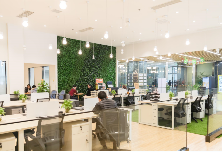 Factory High Quality Rotary SDS Plus or SDS Max Power Hammer Drill Bit for Concrete Drilling