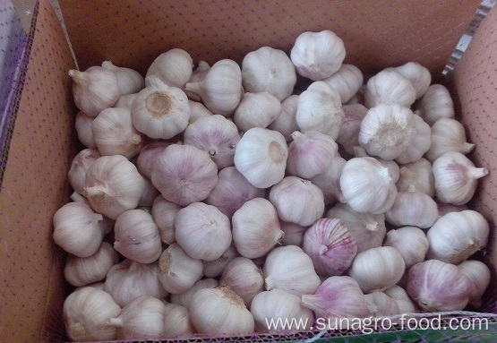 Pack Garlic In A Natural Box