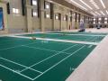 Piso da corte verde de badminton com preço baixo