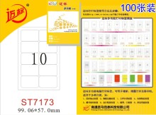 A4 Mailing Labels (ST7173)