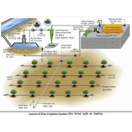 Irrigação por gotejamento de estufas para agricultura