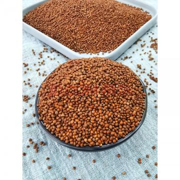 100% pure natural perilla seed