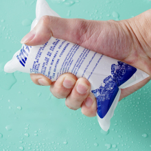 Custom size cold chain transport ice packs