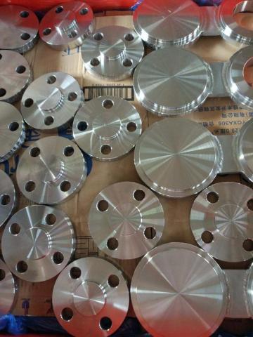 Forged Stainless Steel Flange