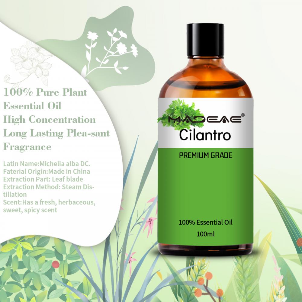 Cilantro Seed Oil 100% Natural and Organic Essential Oils With Private Labelling