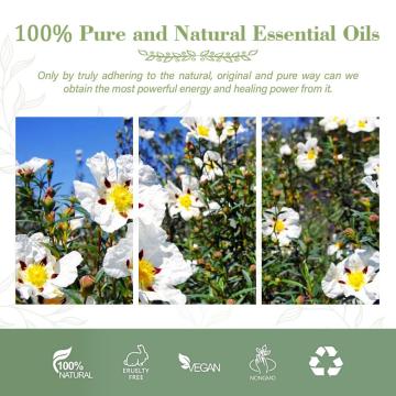 Wholesale Price Cistus Rockrose Oil 100% Pure Natural Essential Oil