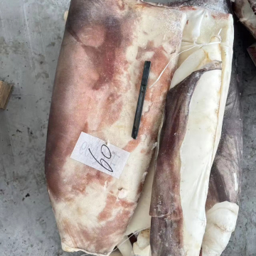 Frozen Giant Squid Slices