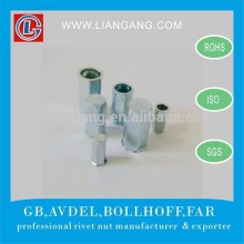 Steel Reduce Head Hex Closed End Rivet Nut