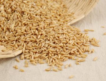 Oat Rice Recipe