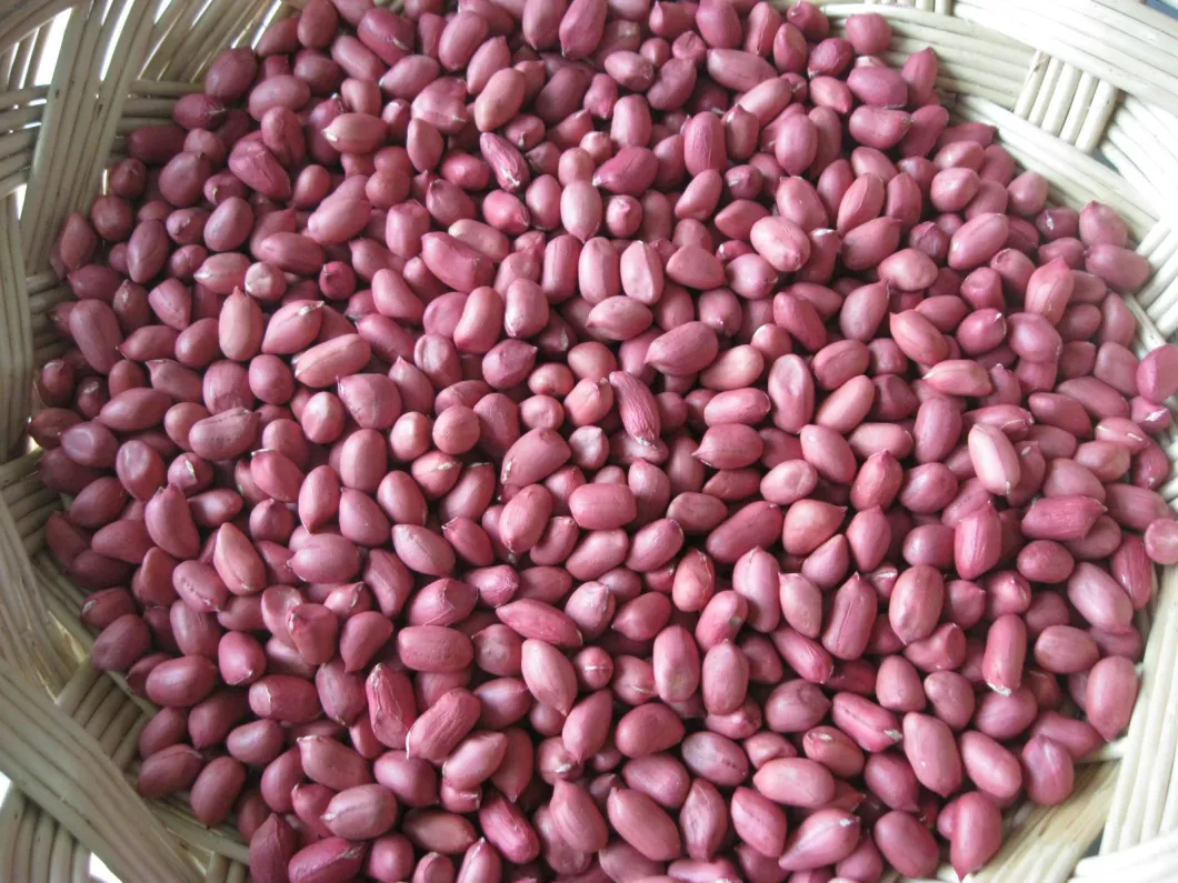 Hot Sale New Crop Red Skin Peanut Kernels 50/60 60/70