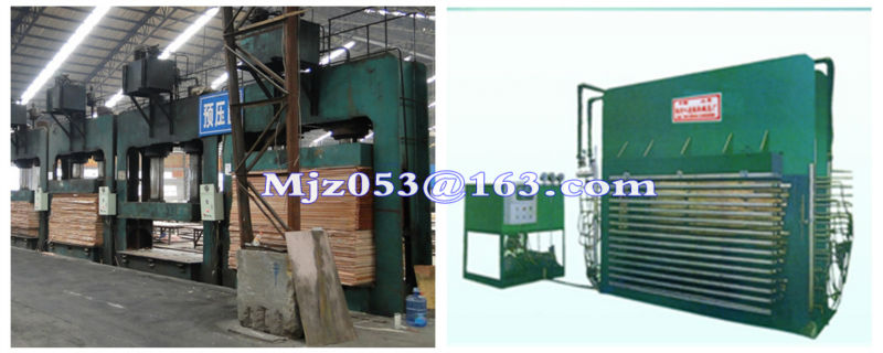 Semi auto plywood manufacturing plant