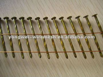 varnish coated coil nail