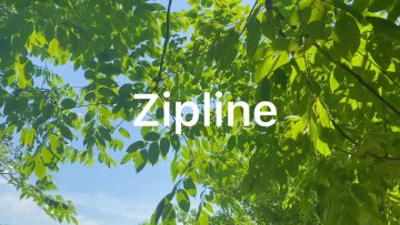 GIBBON 160 Foot Zip Line Kit Tree Swing