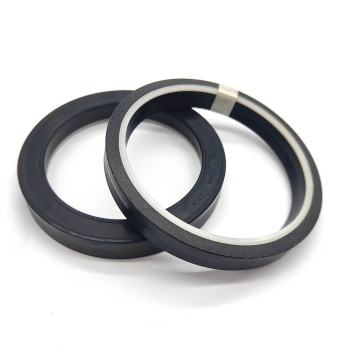 China Factory TSE Oil Seal - Custom Size B Seal