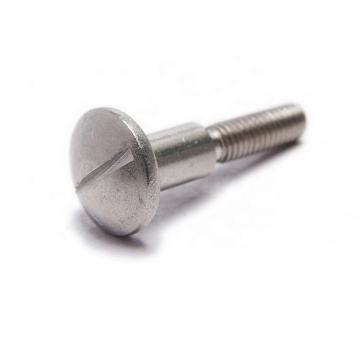 Stainless Steel Slotted Head Step Screw