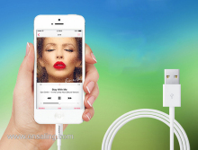 Appel Lightning to usb cable Charge/Sync data cable