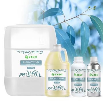 Eucalyptus Essential Oil for Diffuser, Massage & Cleaning – Steam Distilled, Wholesale