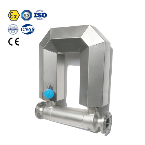 DN80 Coriolis Mass Flow Meter