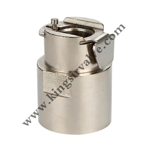 Nickel plated check valve