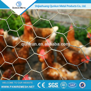 bird cages hexagonal wire mesh/chicken mesh(ISO 9001)