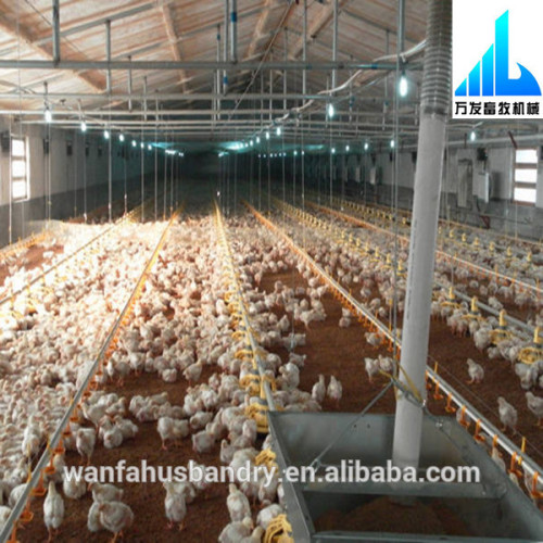 Feeding System of Poultry Farming Equipment for Sale