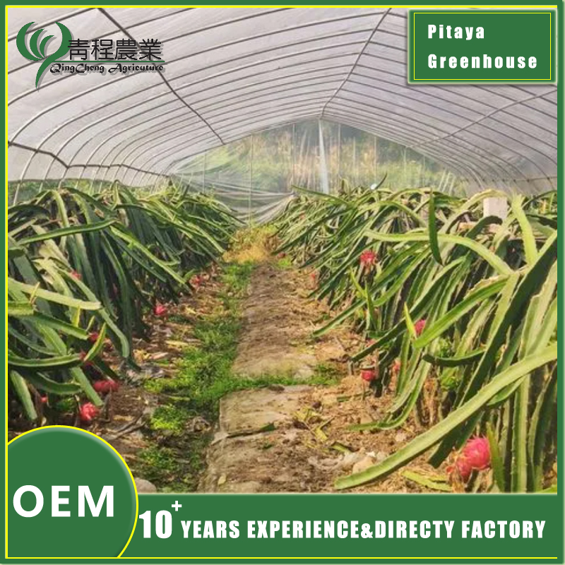 Рашэнне для цяплічнай сістэмы Pitaya Pitaya Greenhouse System Solution